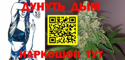 спиды Новодвинск