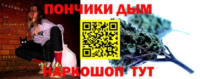 спиды Новодвинск