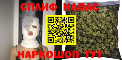 спиды Новодвинск