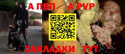 спиды Новодвинск