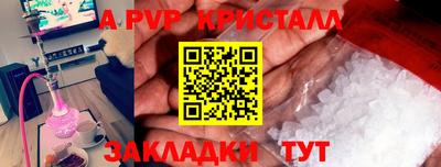 спиды Новодвинск