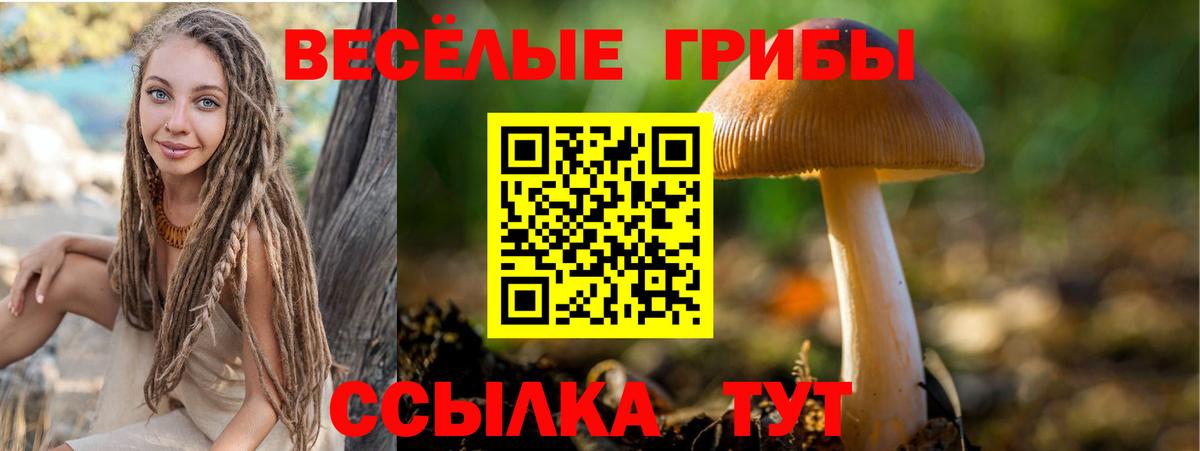 Стрежевой  где купить наркоту  Вход с VPN  Псилоцибиновые грибы MAGIC MUSHROOMS  Галлюциногенные грибы Psilocybe 